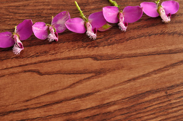 A border of small purple flowers on a wooden background