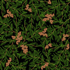 branches of thuja. background