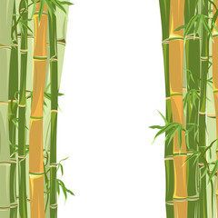 Fototapeta na wymiar frame of bamboo with white background
