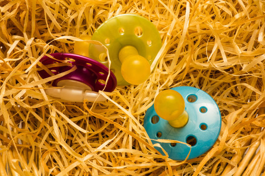 Schnuller in Nest