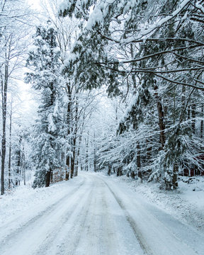 View of snow covered road passing through forest
