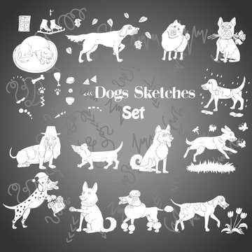Funny Dogs Sketches 