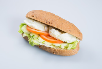 sandwich or tasty egg sandwich on background.
