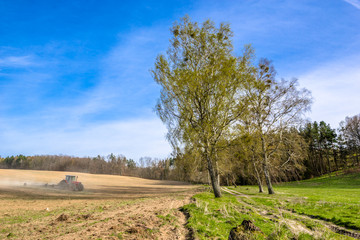 Fototapeta premium Tractor on field, agriculture and crop in spring, farm land landscape