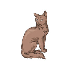 Cute brown cat pet animal hand drawn vector Illustration