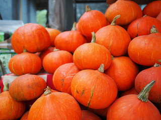 Pumpkin Japan for sale in the market