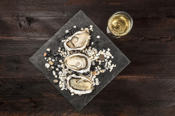 Overhead photo of oysters with wine and copy space