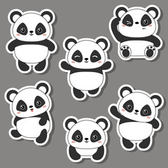 Vector illustration of panda bear.