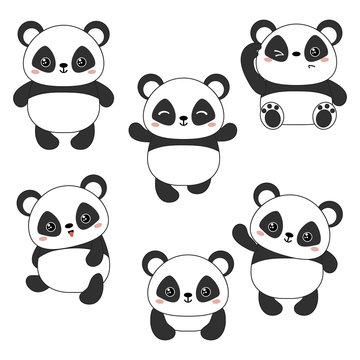 Vector illustration of panda bear.