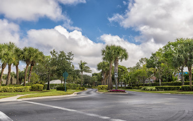 Gated community street with palms in South Florida, United States