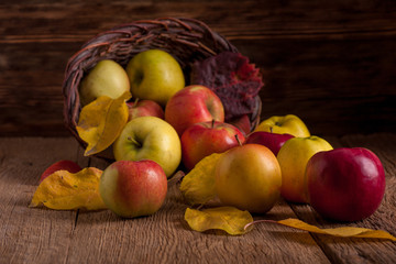 Apples in basket