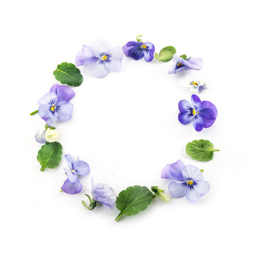 circle of pansy flowers and leaves isolated on a white background, spring wreath concept, high angle view from above, copy space