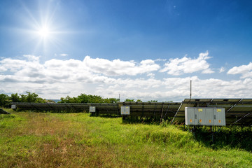 Fototapeta na wymiar Back side view of solar panels, photovoltaics - alternative electricity source