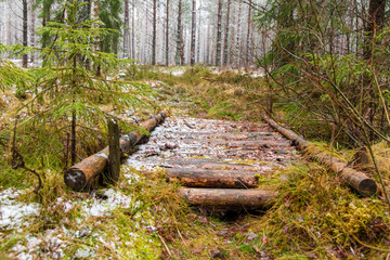 An old wooden bridge in a swedish forest