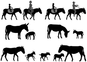 Collection of silhouettes of adult donkeys and foals