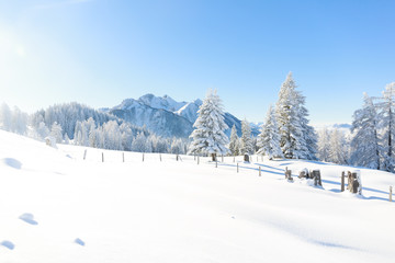 Fototapeta premium Trees covered with frost and snow in mountains. Austrian Alps