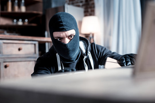 Robber. Serious dark-eyed masked robber wearing a black uniform and gloves and holding a folder while rifling