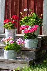 Flowers standing on steps to a red house
