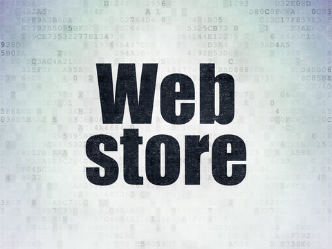 Web design concept: Painted black word Web Store on Digital Data Paper background