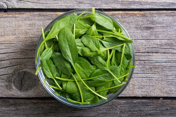 fresh green baby spinach