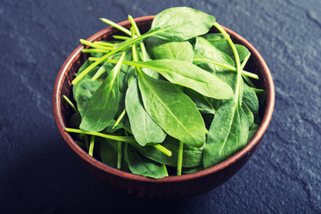 fresh green baby spinach