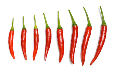 Red chili pepper on white background