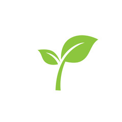Leaf logo design