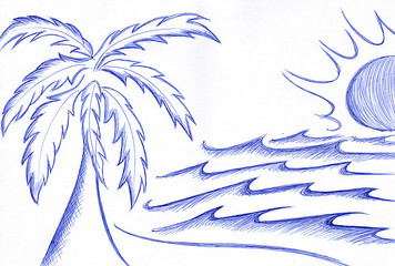palma disegno a penna © photoxgraph.it
