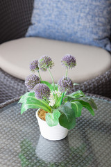 Flower pot on the living room table
