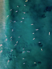 drone view of surfers in the ocean