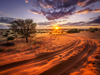 Beautiful sunset over the scenic kalahari-landscape in Namibia - obrazy, fototapety, plakaty