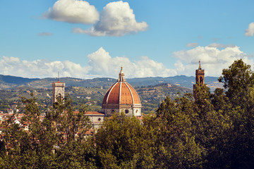 Fototapeta na wymiar View of the dome of the Duomo of Santa Maria del Fiore in Florence, Italy from the Boboli garden with trees in the foreground