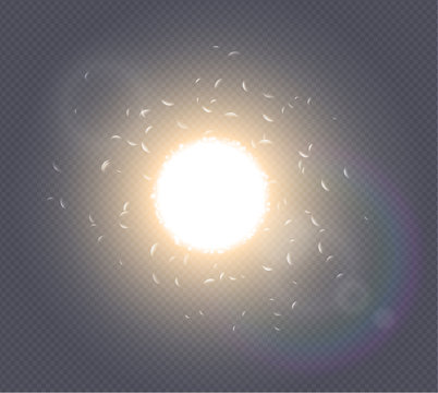 Abstract white explosion spark space modern design. Glow star burst light effect. Supernova futuristic vector on transparent background. Sunlight lens flare. Translucent sun rays and spotlight.