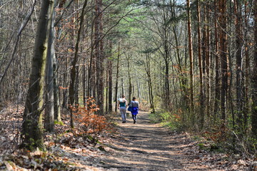 Two women walking along the forest. Landscape