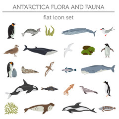 Obraz premium Antarctic, Antarctica, flora and fauna map, flat elements. Animals, birds and sea life big set. Build your geography infographics collection