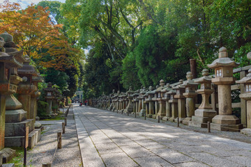 石清水八幡宮　上院参道の石灯籠群