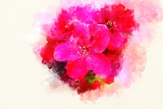 Red flowers and softly blurred watercolor background.