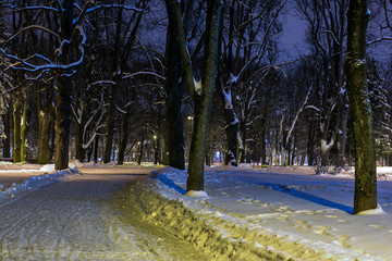 Winter evening in city park.  Illuminated trees and lot of snow.