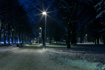 Obraz premium Winter evening in city. Illuminated roud throught snowy park near snowed benches .
