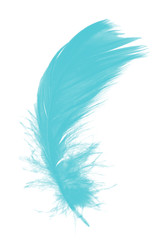 feather color turquoise emerald green on white background