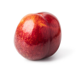 plum fruit