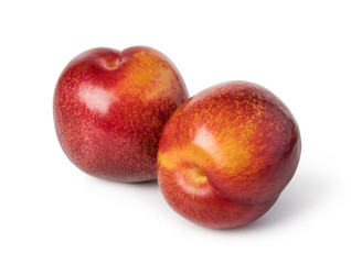plum fruit