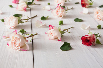 Floral pattern made of pink roses on white rustic wood, closeup