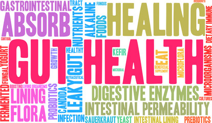 Gut Health Word Cloud on a white background. 