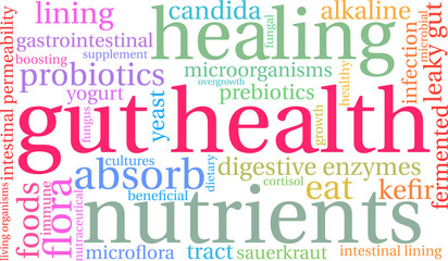 Fototapeta premium Gut Health Word Cloud on a white background. 