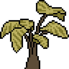 Fototapeta premium vector pixel art palm tree