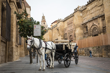 Naklejka na ściany i meble Horse carriage in front of the cathedral in Cordoba, Spain.