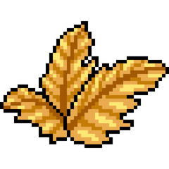Fototapeta premium vector pixel art yellow leaves
