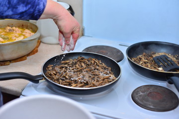 Fresh mushrooms collected in the forest fried in a deep frying pan,mushroom protein source,space for text