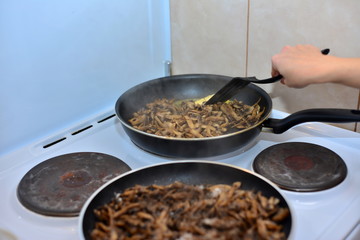 Fresh mushrooms collected in the forest fried in a deep frying pan,mushroom protein source,space for text